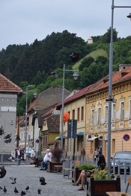 Haydn Vintage Apartment Braşov Buitenkant foto