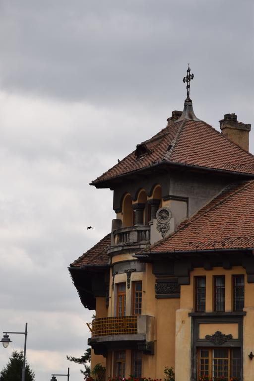 Haydn Vintage Apartment Braşov Buitenkant foto